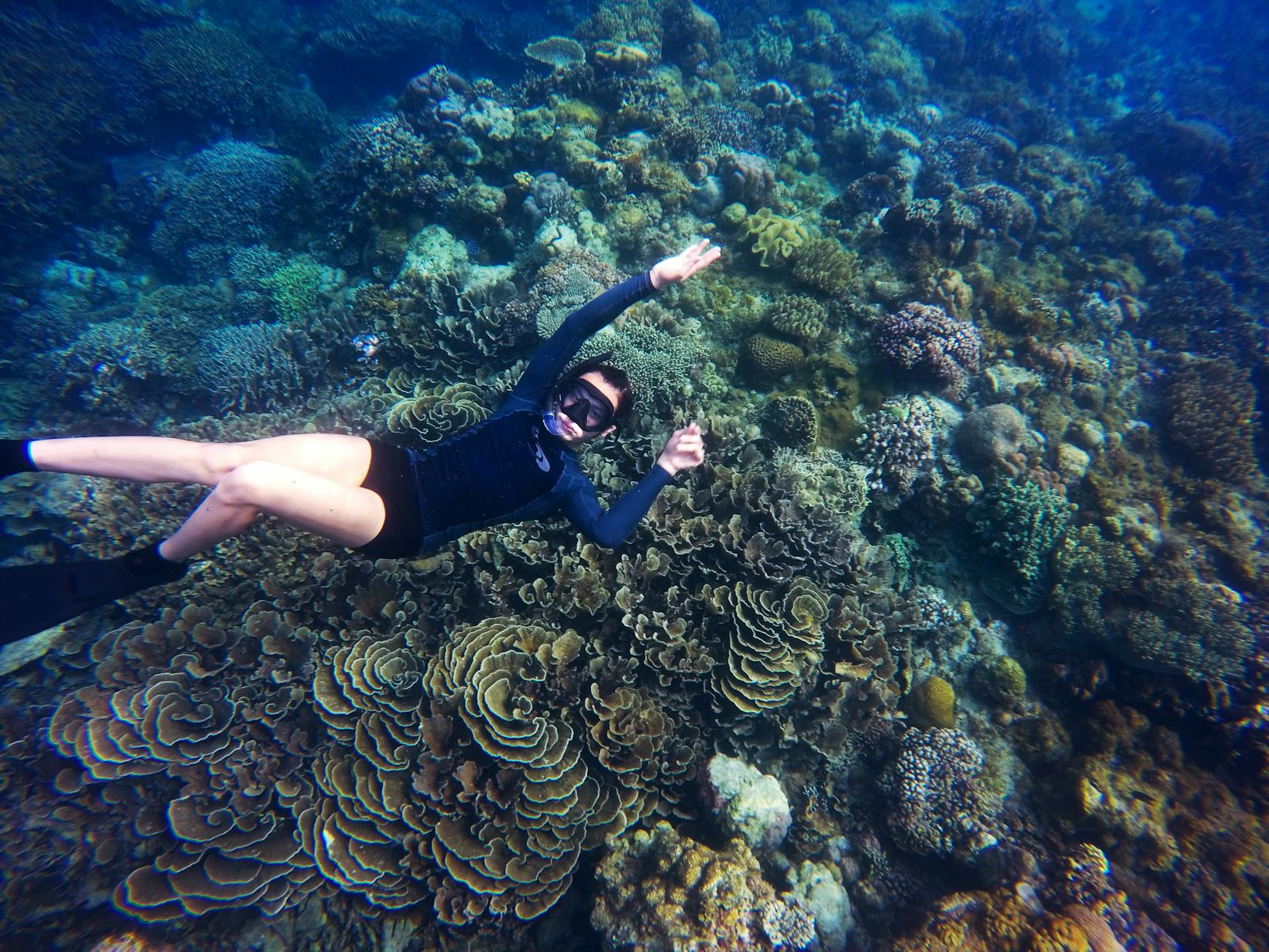 Snorkeling at coral reef in Biscayne National Park