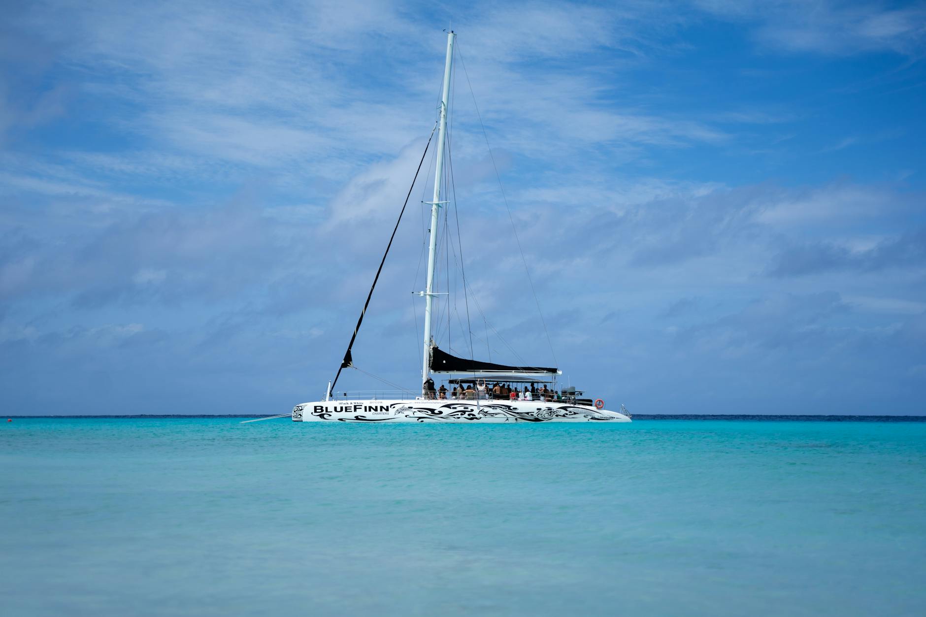Catamaran sailing through Miami's clear bay water