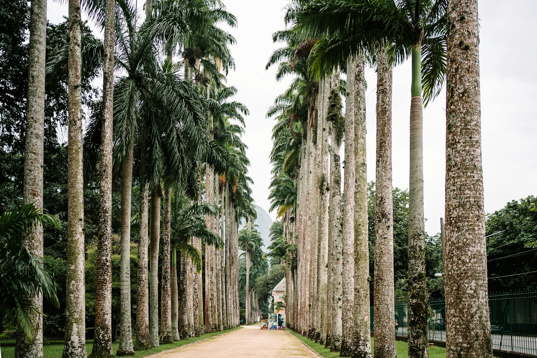 Coral Gables Miami's Fairchild Tropical Botanic Garden hosts 83 acres of tropical plants