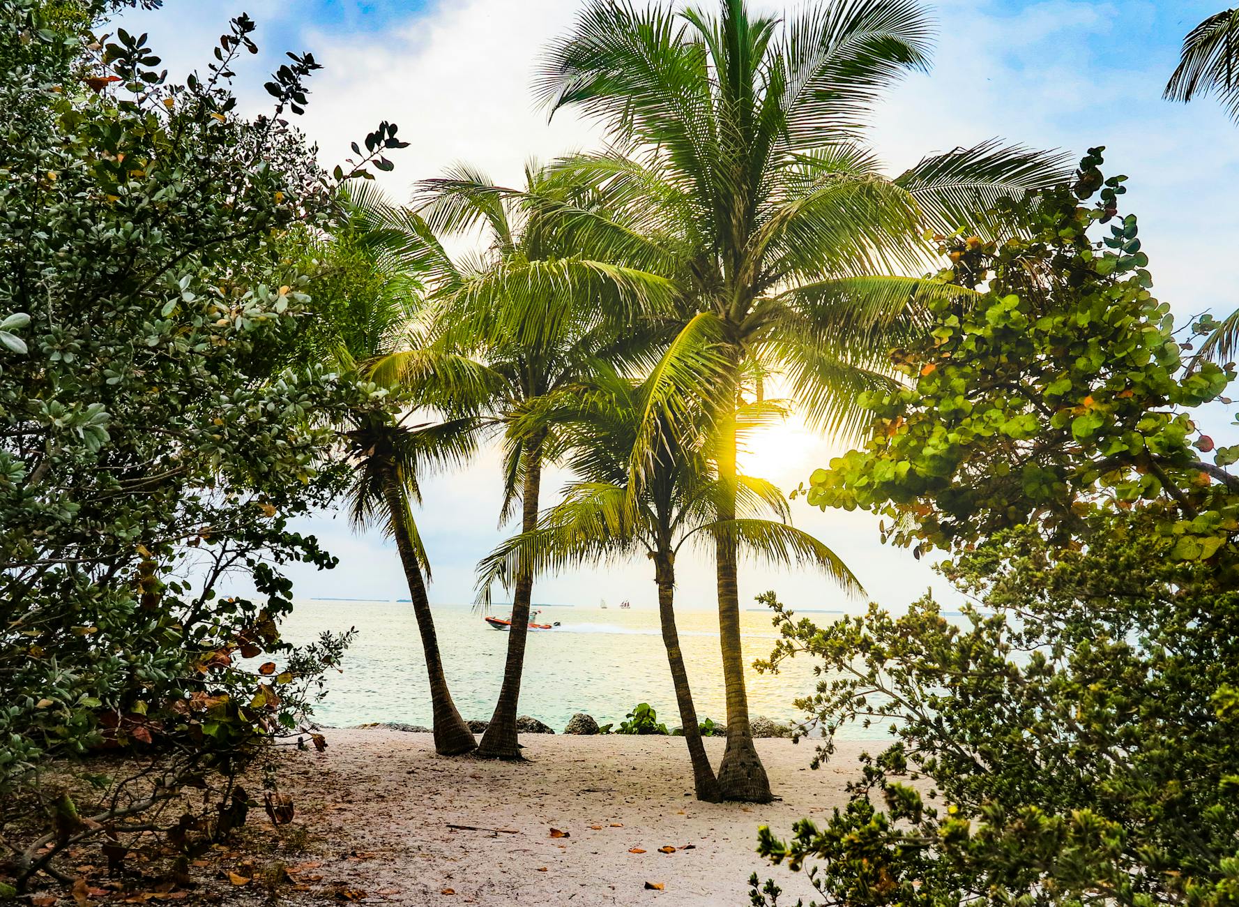 Miami walking tours through leafy Coconut Grove pass historic homes and bay views