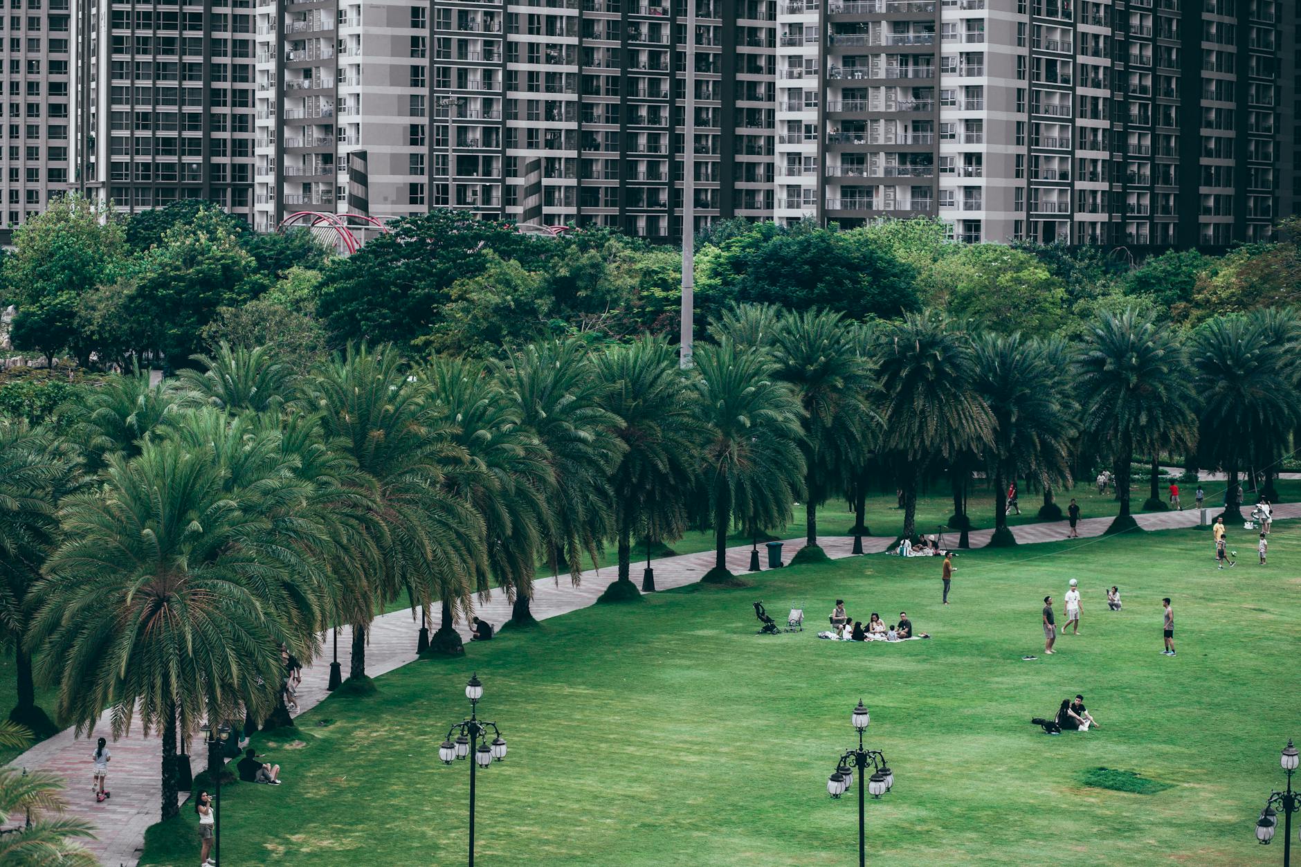 Downtown Miami's 32-acre Bayfront Park hosts free yoga, concerts, and bayfront walking