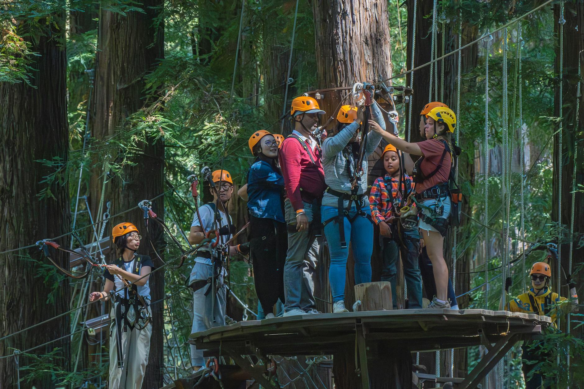 jungle island miami zipline ropes course