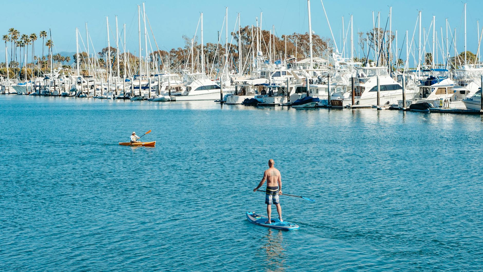 Kayaking through Miami's calm bay waters