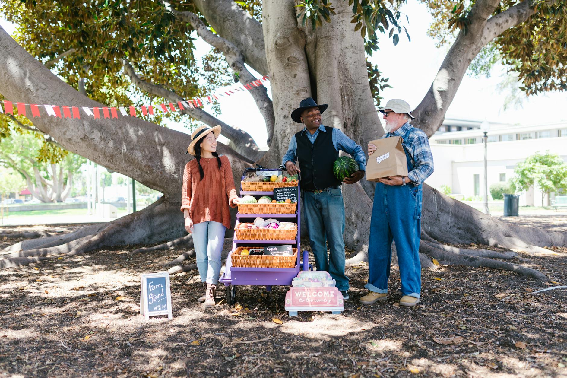 lincoln road miami beach farmers market