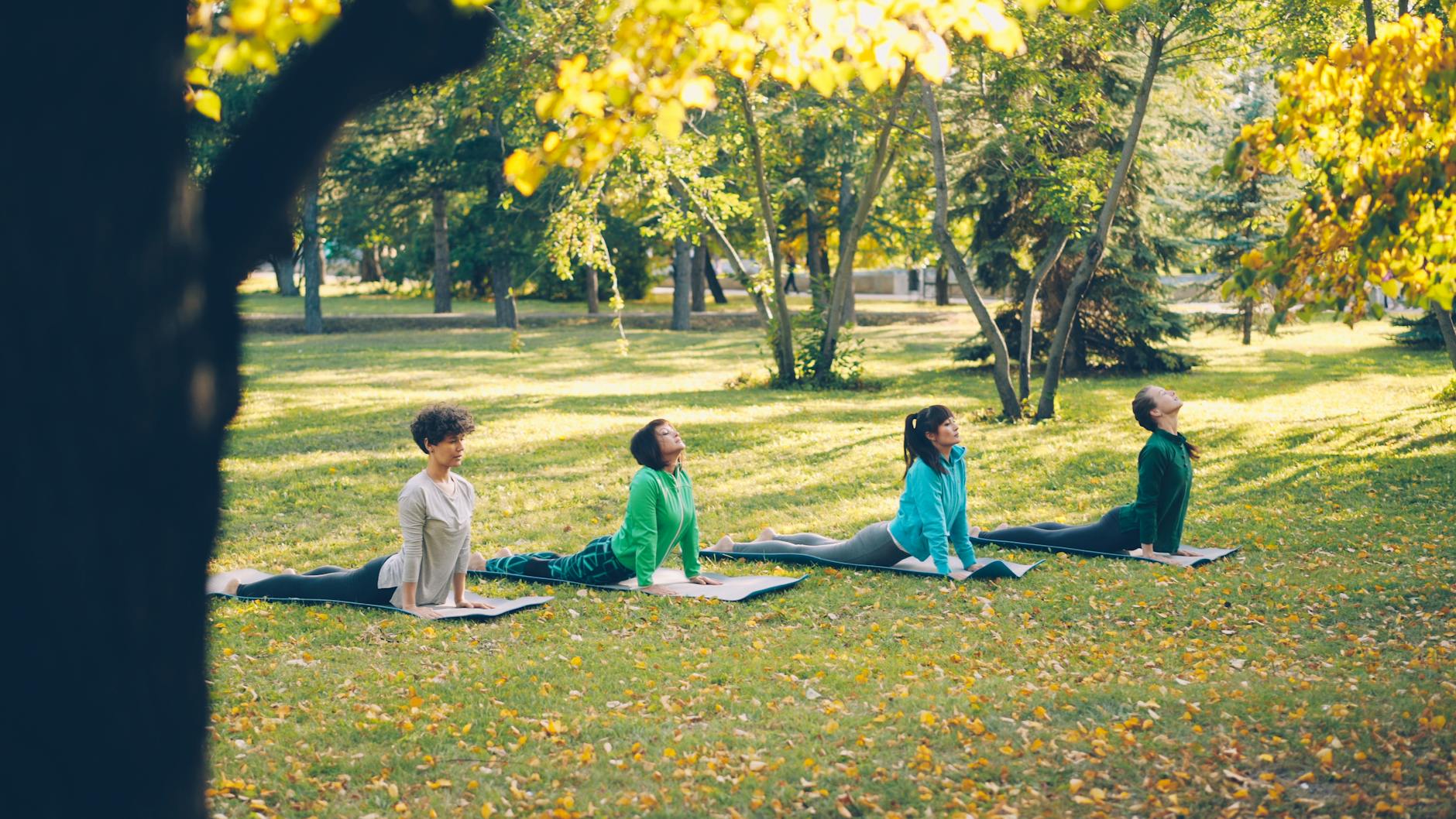 lincoln road miami beach community yoga