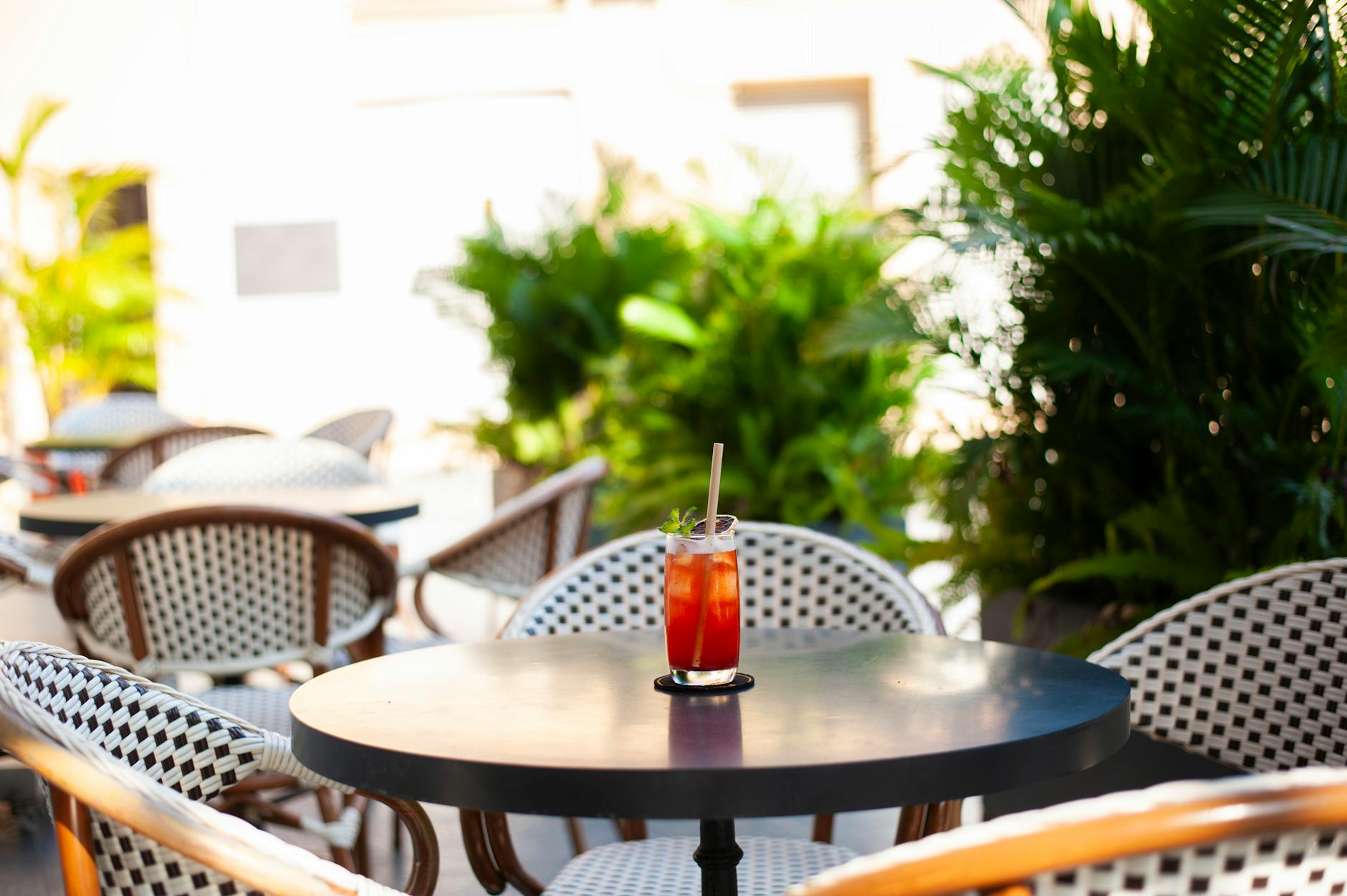 Outdoor brunch dining at a tropical Miami restaurant