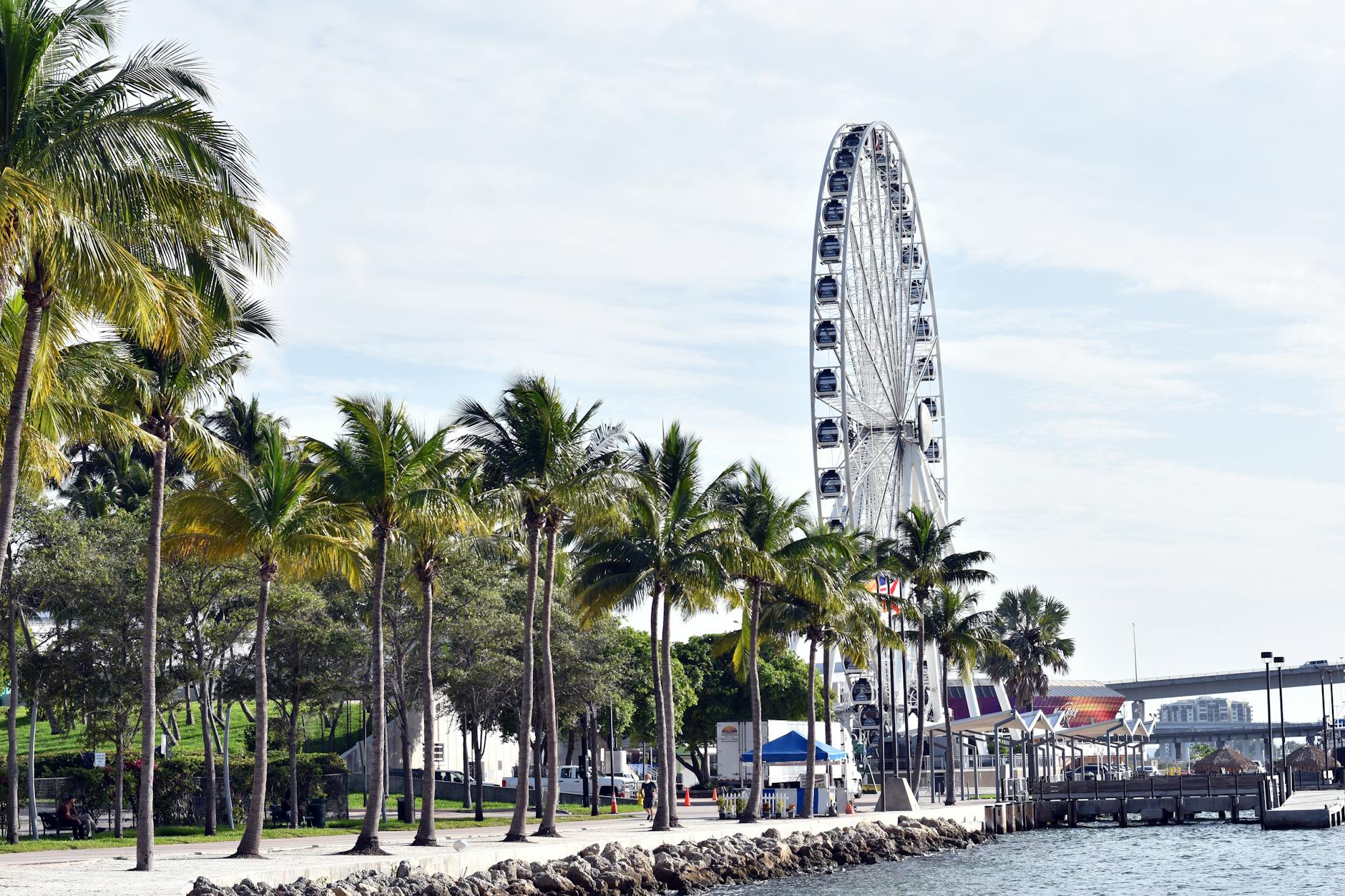 Free things to do in Miami include hiking and birdwatching in city parks