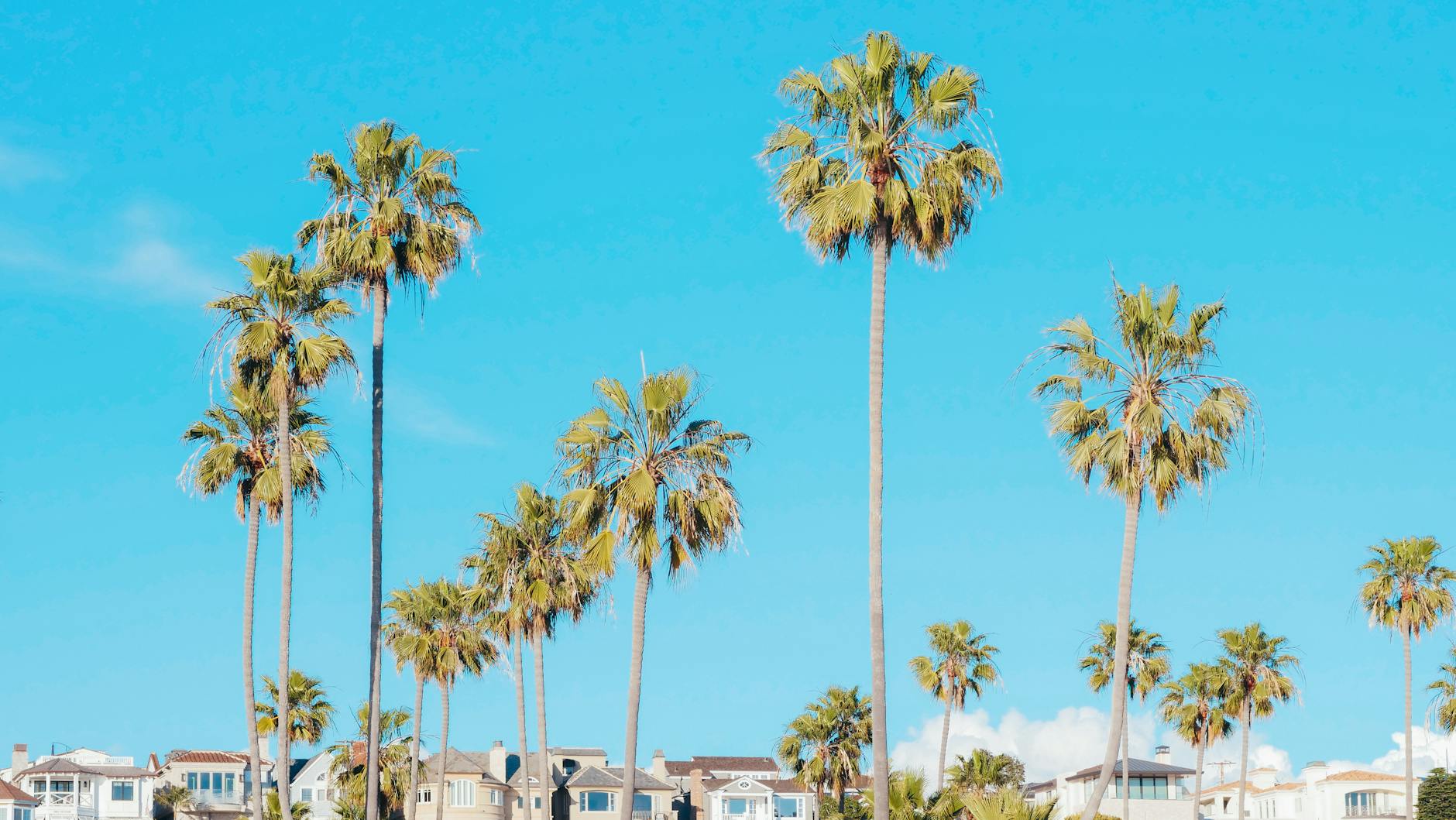 Coconut Grove Miami's leafy streets feel like a tropical village