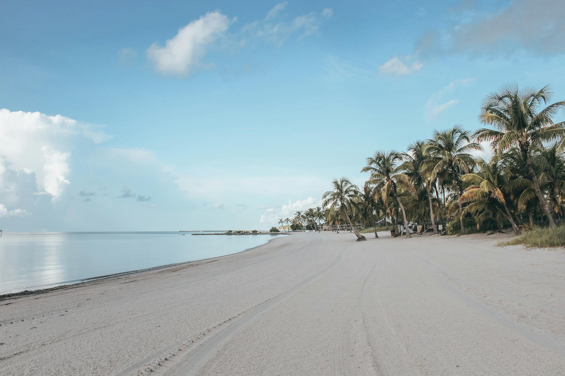 Tropical white sand beach with palm trees in South Florida