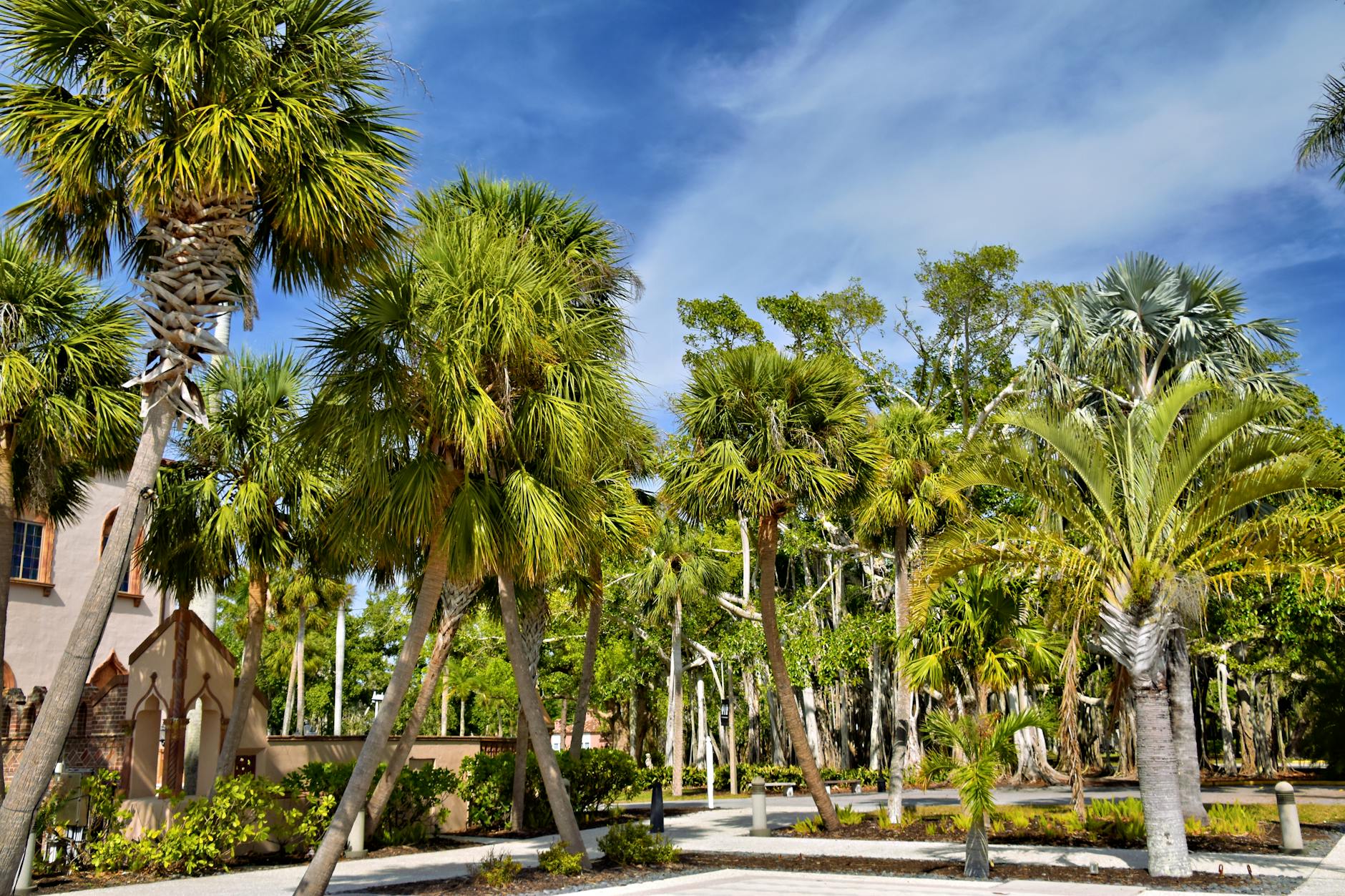 Hidden gems in Miami include lush Fairchild Tropical Botanic Garden
