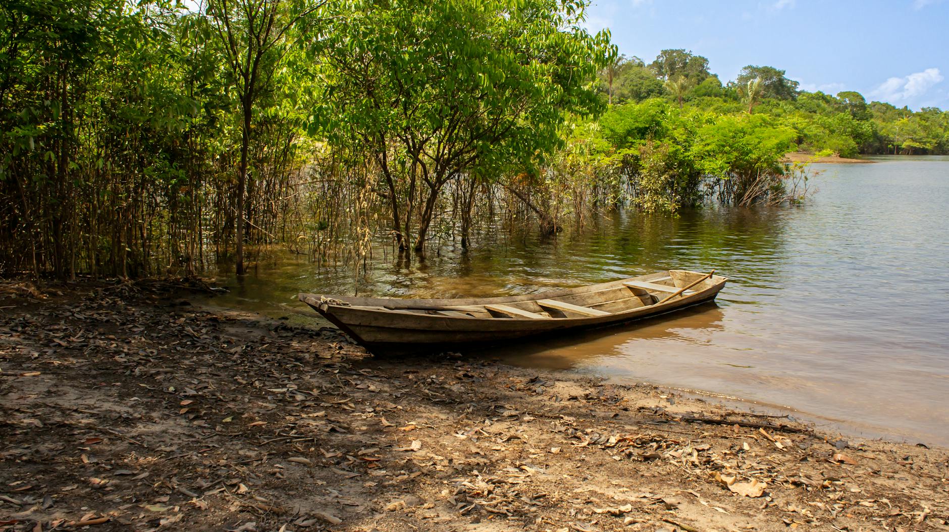 everglades airboat tours wooden dock