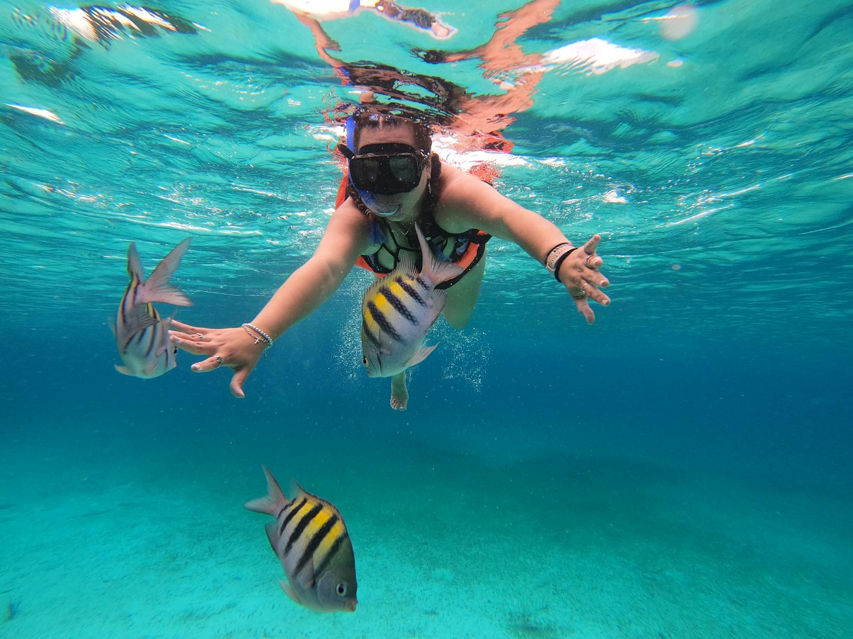 miami to bahamas day trip snorkeling caribbean