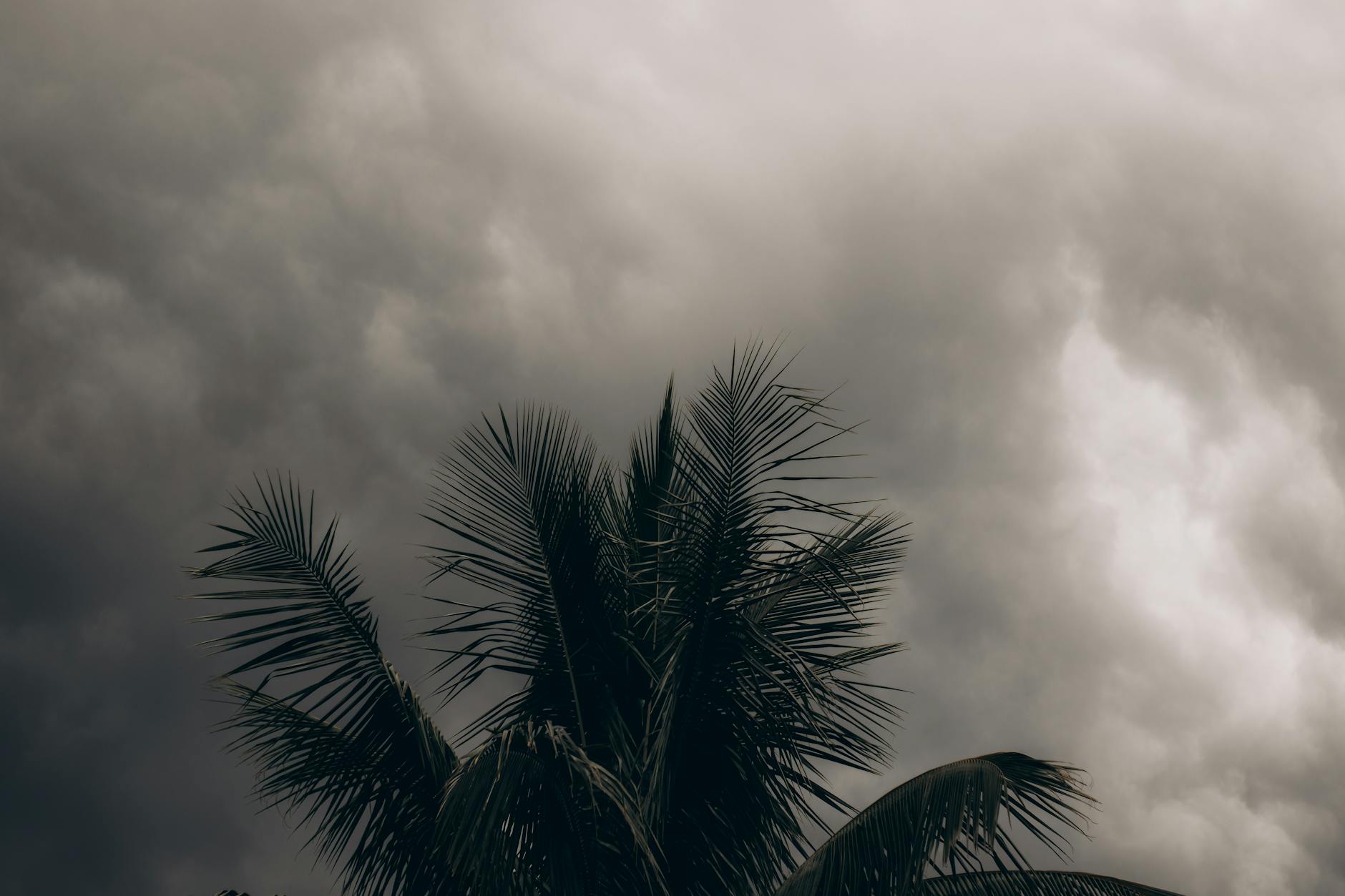 best time to visit miami hurricane season