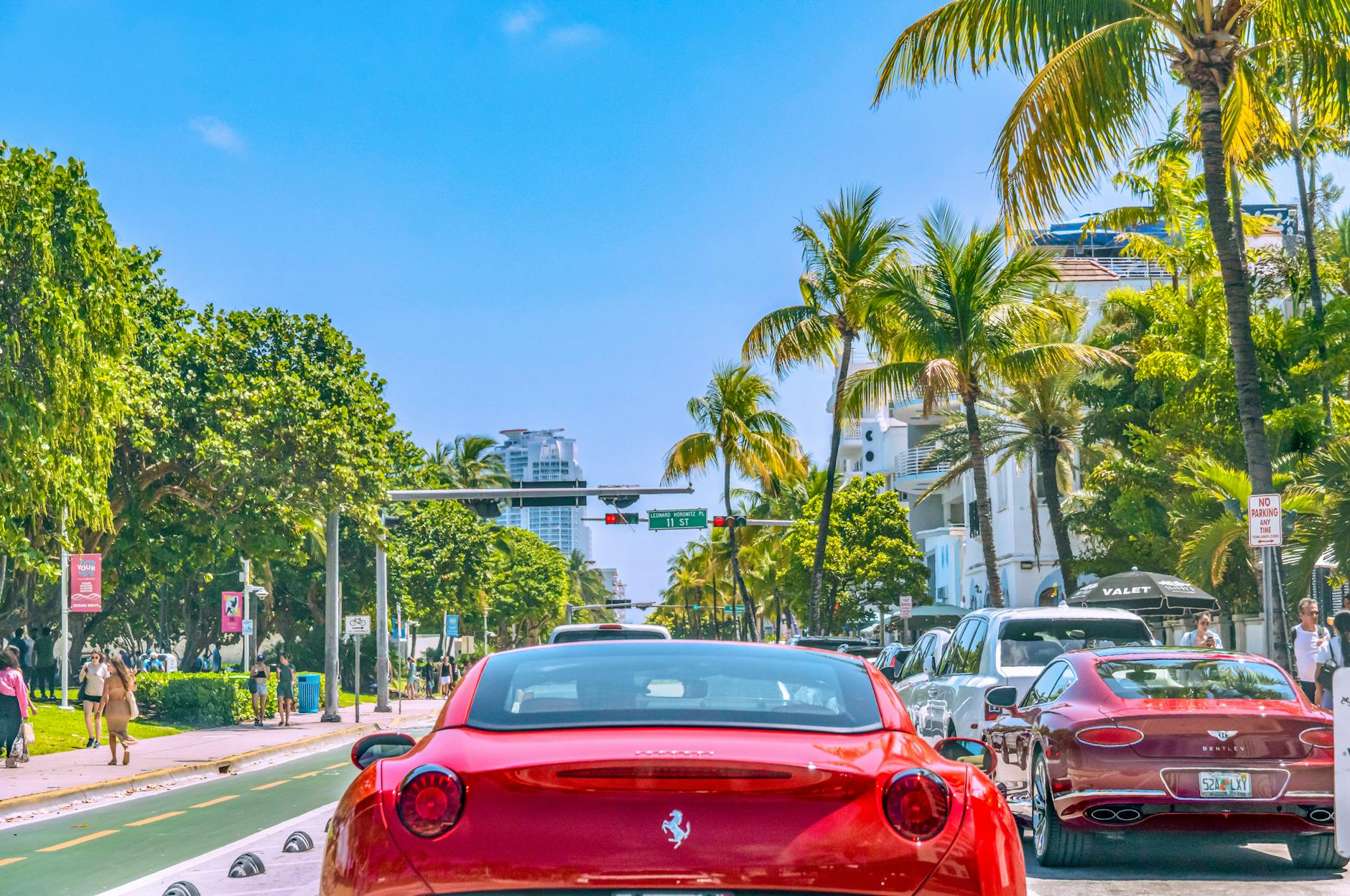 car rental miami tips convertible palm