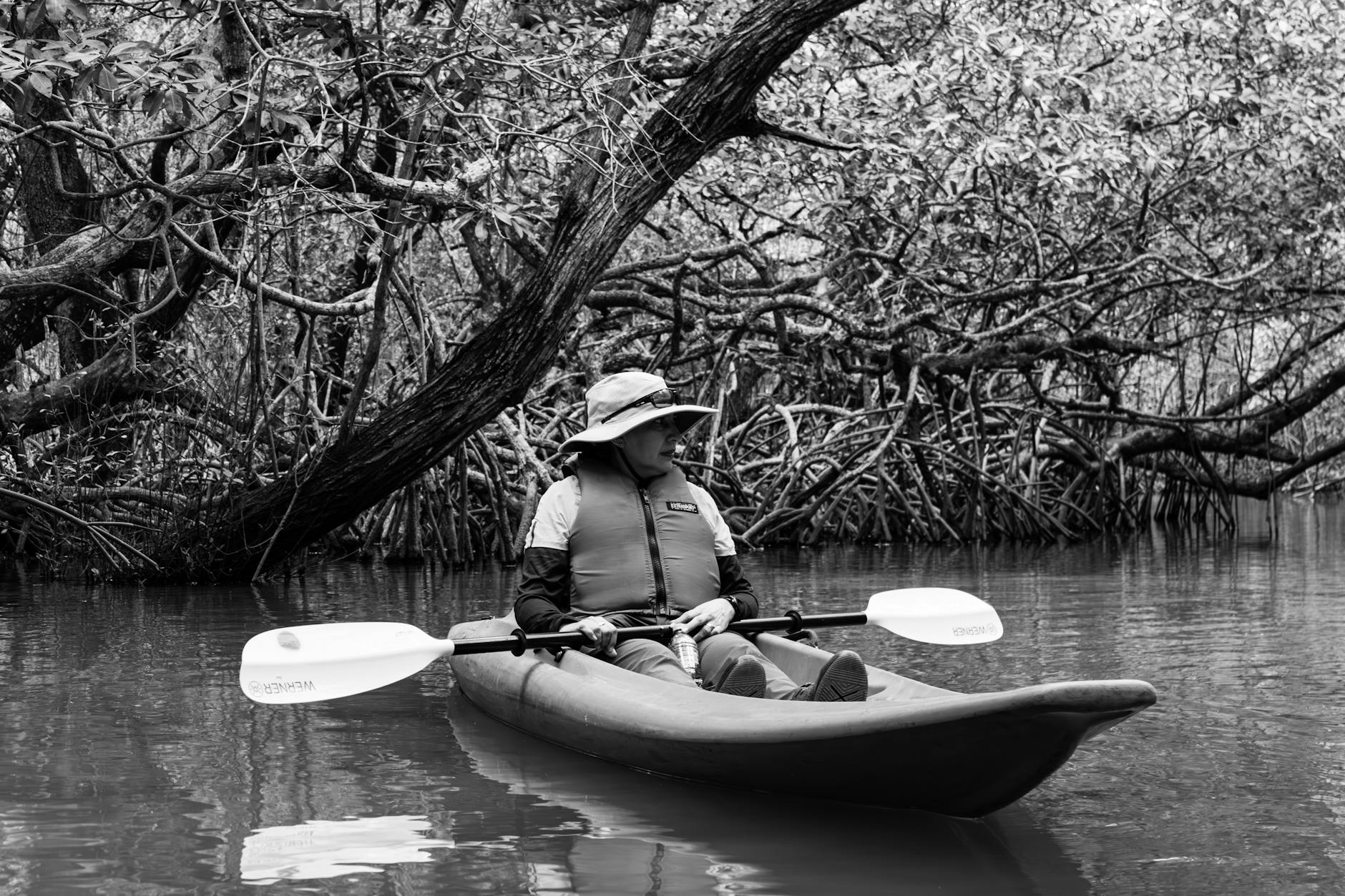 everglades tour from miami kayak mangrove