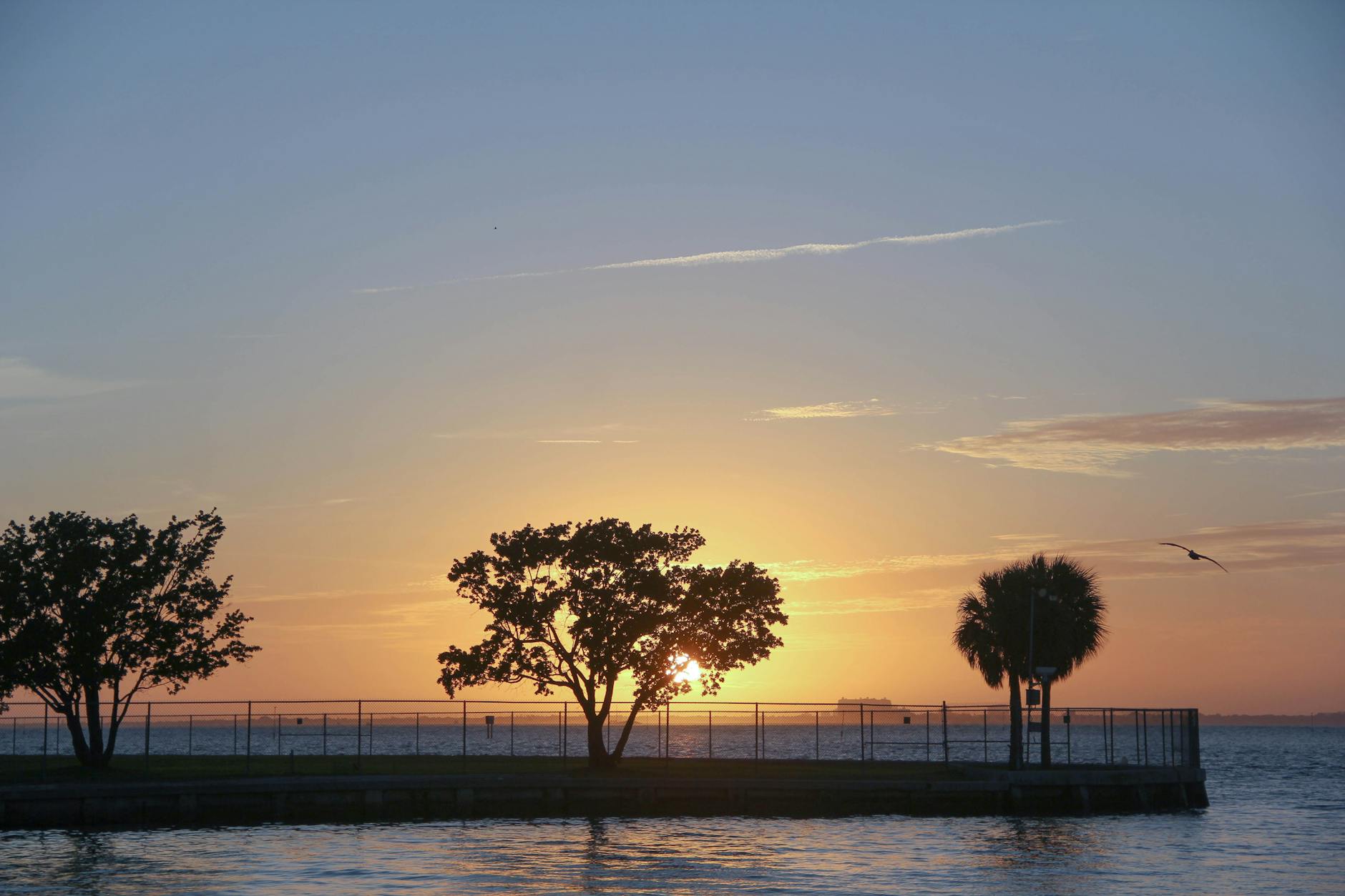 miami itinerary 3 days sunset palm