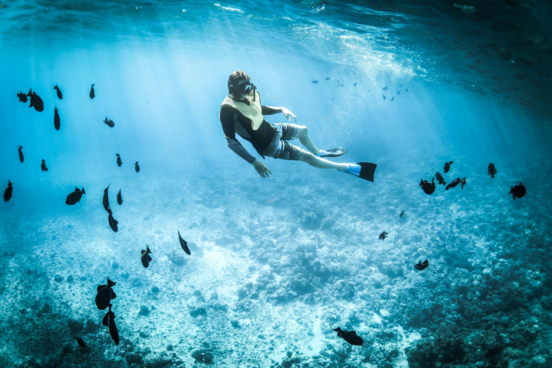 snorkeling near miami snorkeler underwater