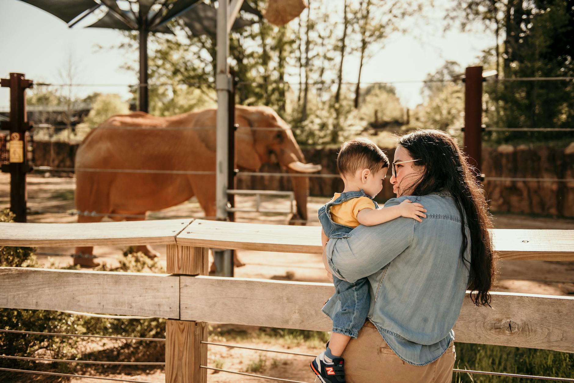 miami with toddlers zoo animals