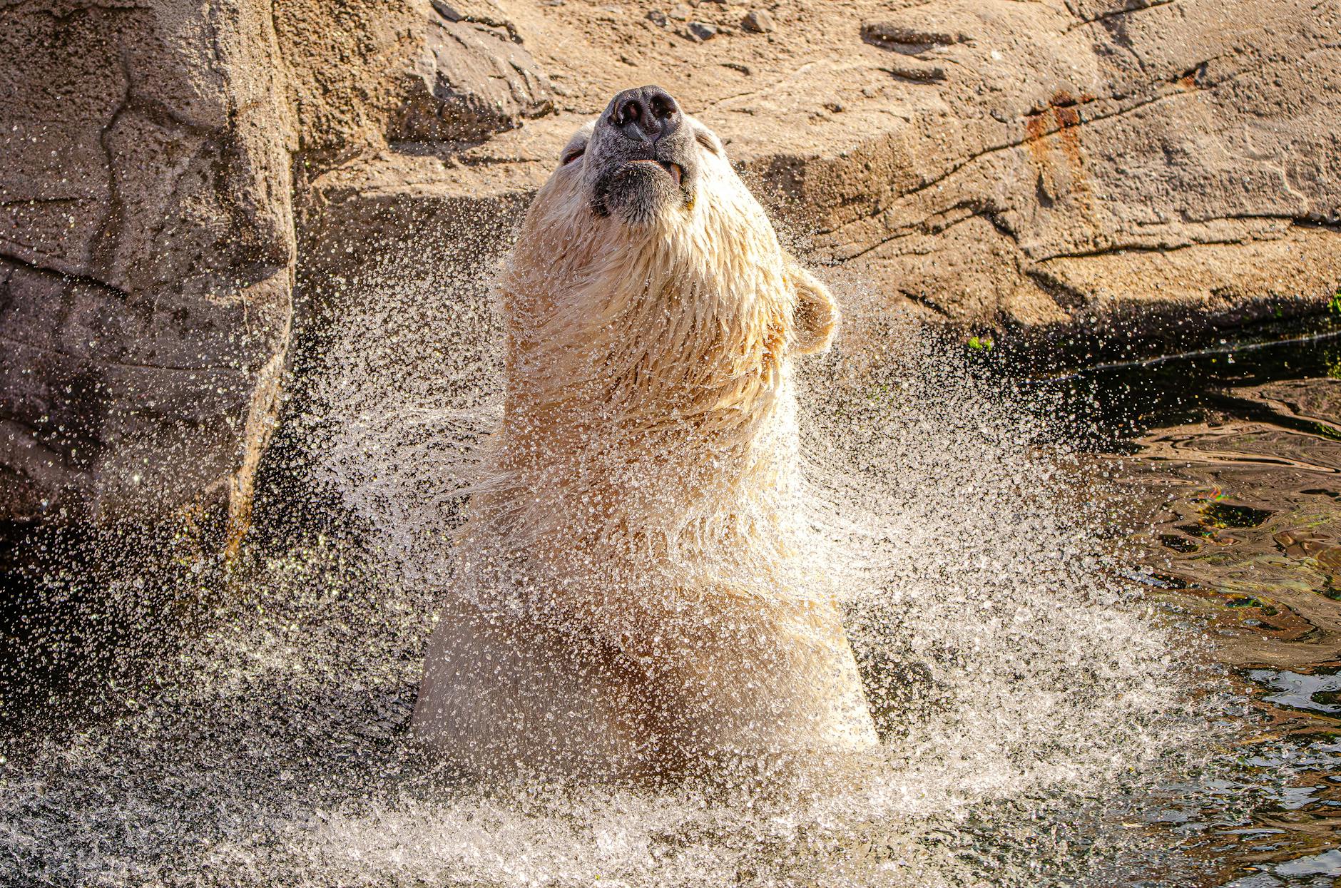 miami theme parks zoo splash pad