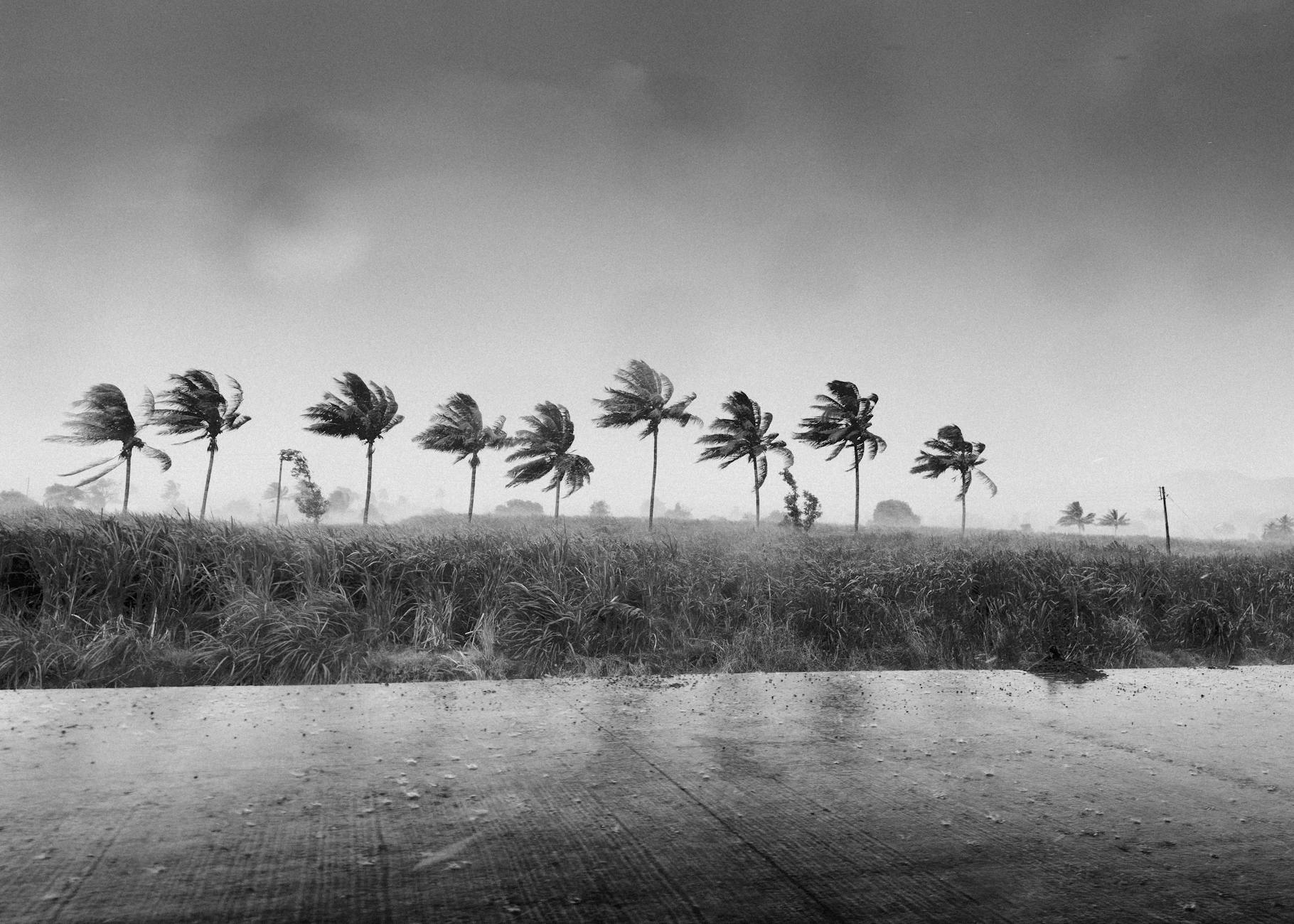miami weather by month tropical rain
