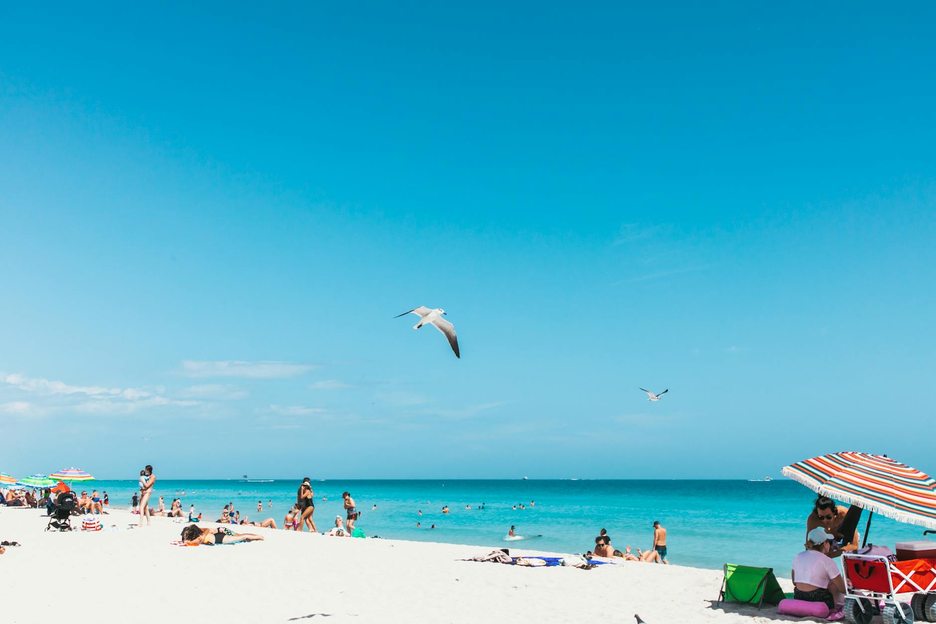 miami weather by month winter mild