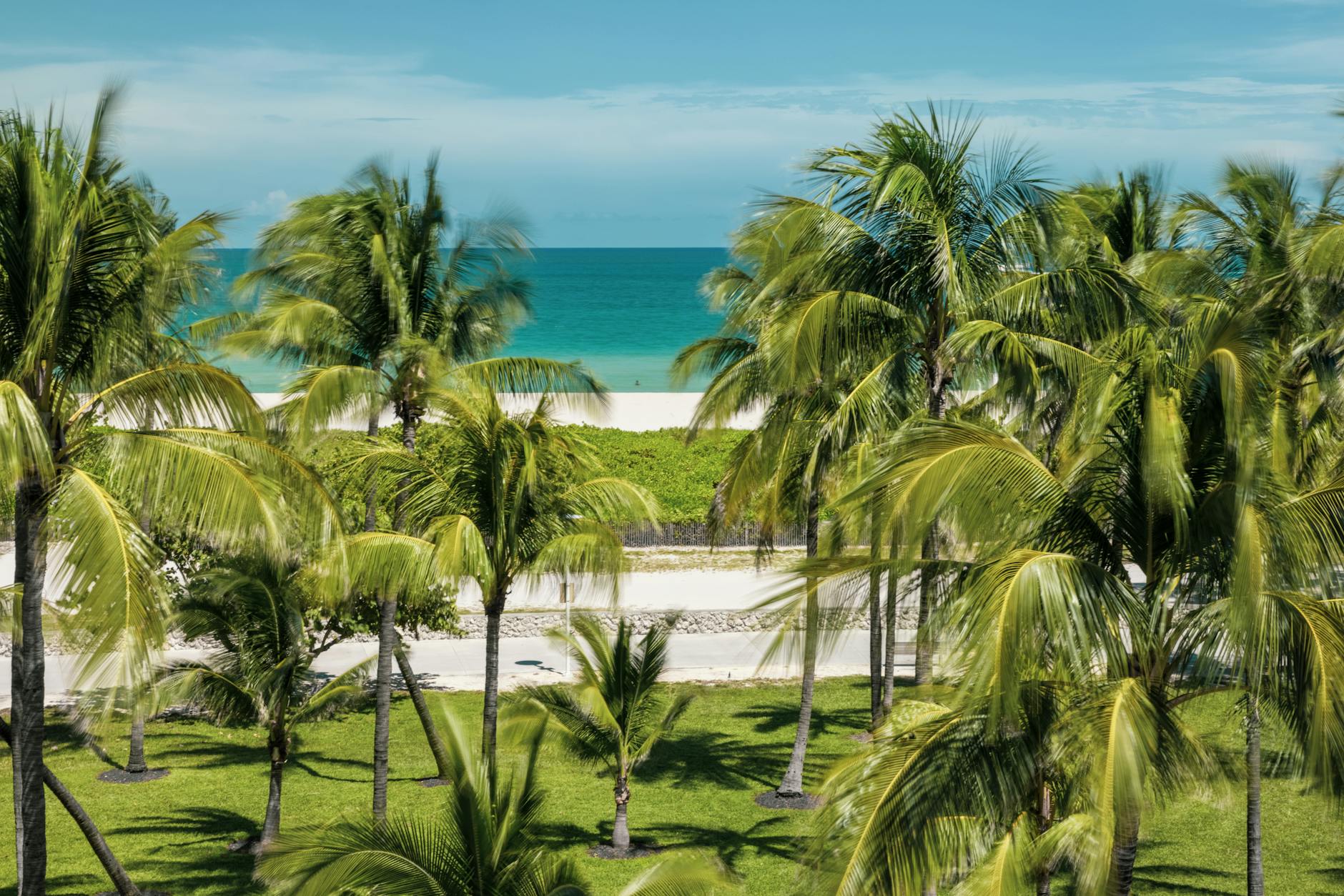 christmas in miami beach holiday
