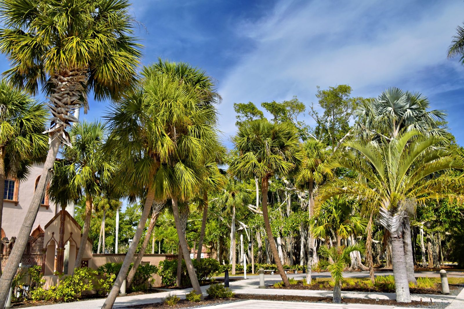 tropical gardens at a fort lauderdale museum