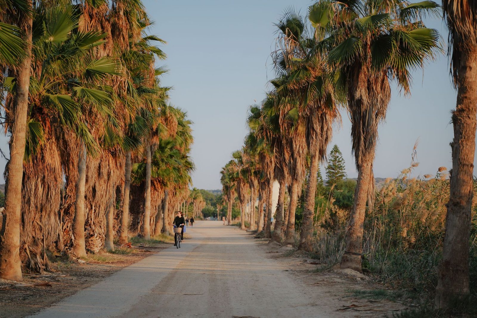 cycling a coastal path in miami