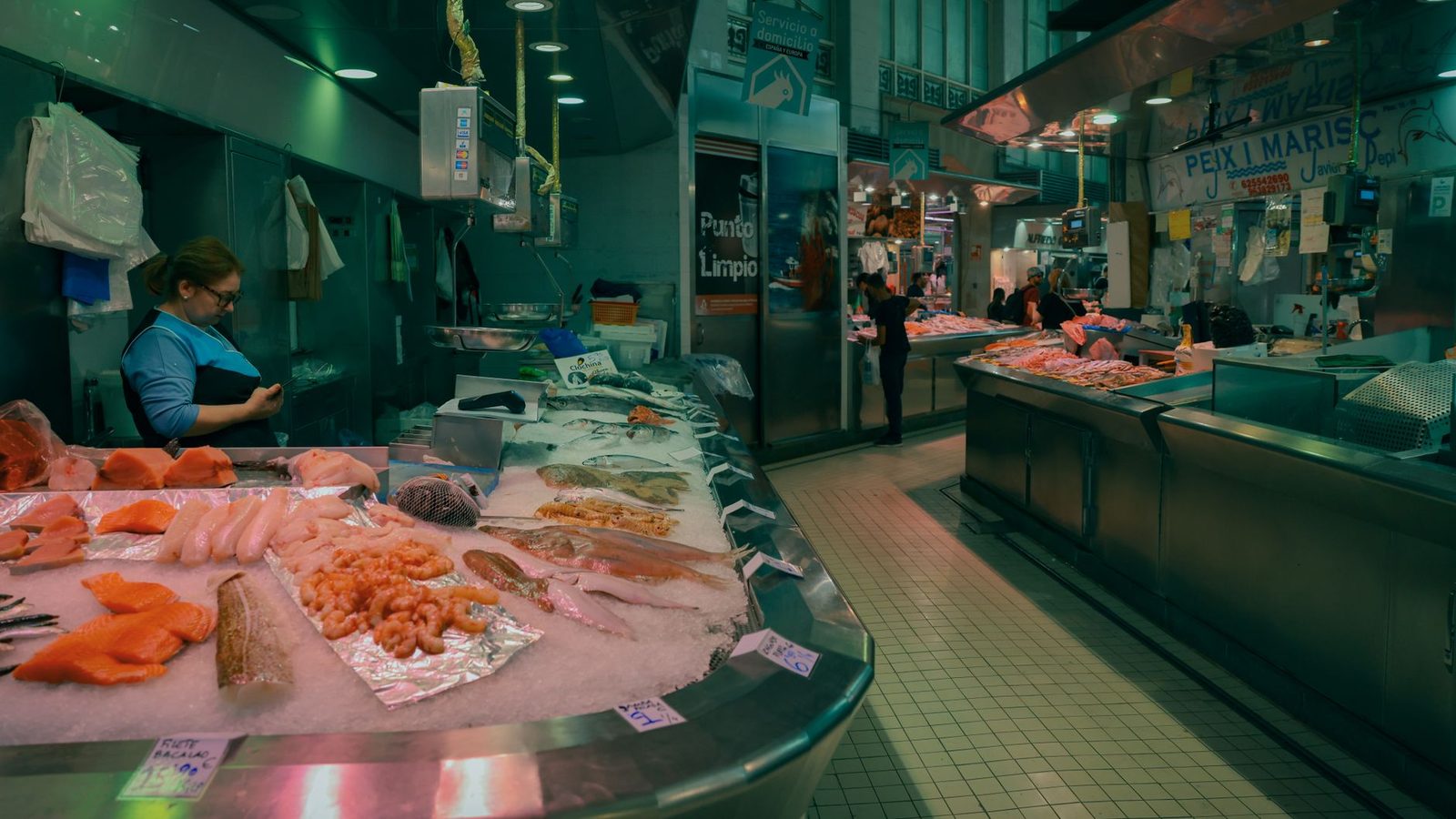 miami fish market fresh catch counter