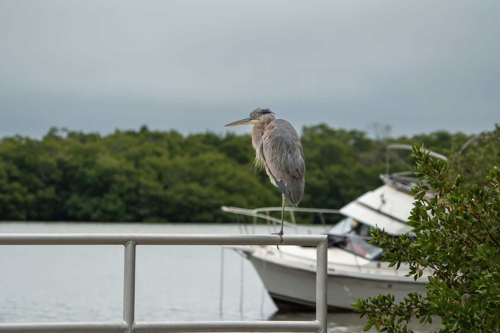 fishing boats moored on a florida waterfront