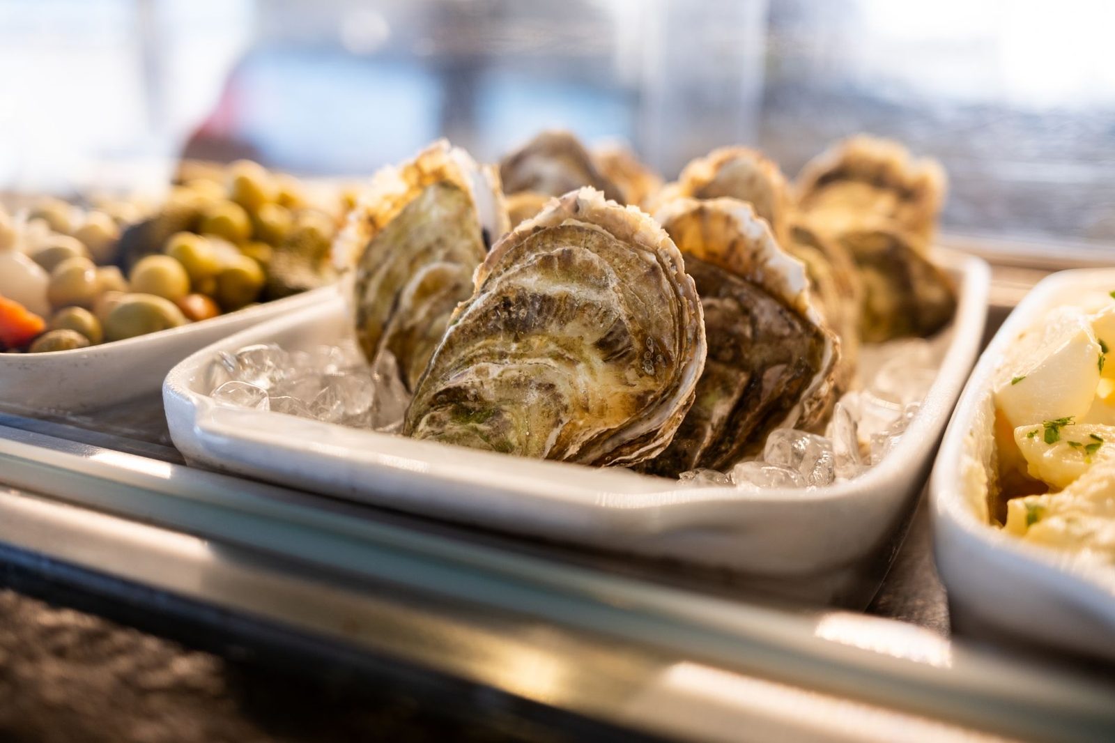 miami seafood platter with oysters