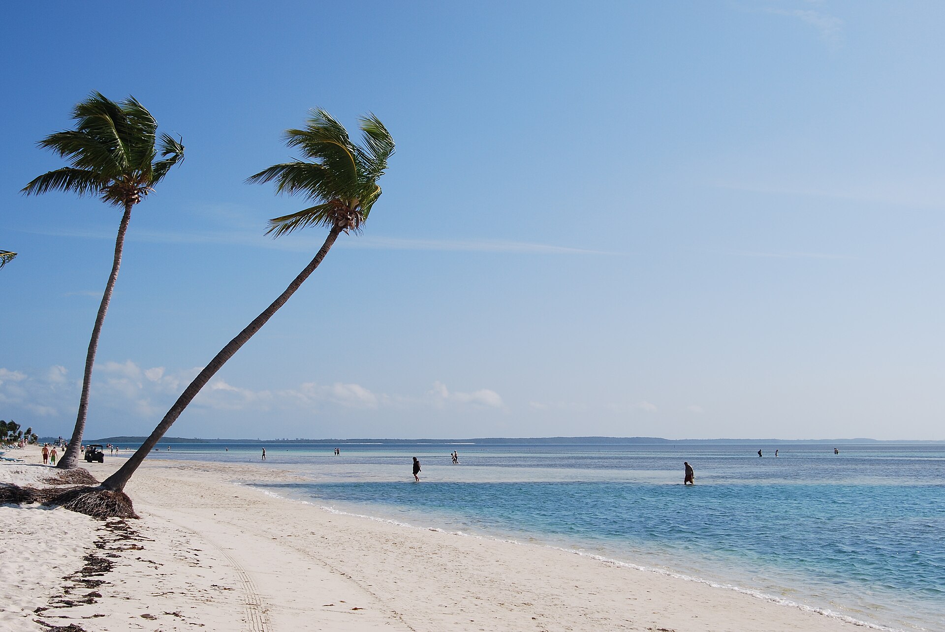 A white-sand beach with two leaning palm trees and people wading in shallow turquoise water at CocoCay in the Bahamas