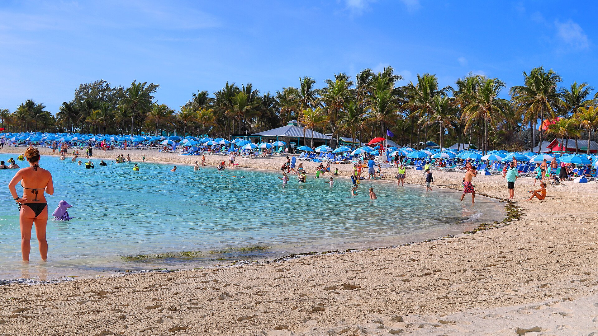 Rows of blue loungers and umbrellas along a palm-backed beach at CocoCay in the Bahamas