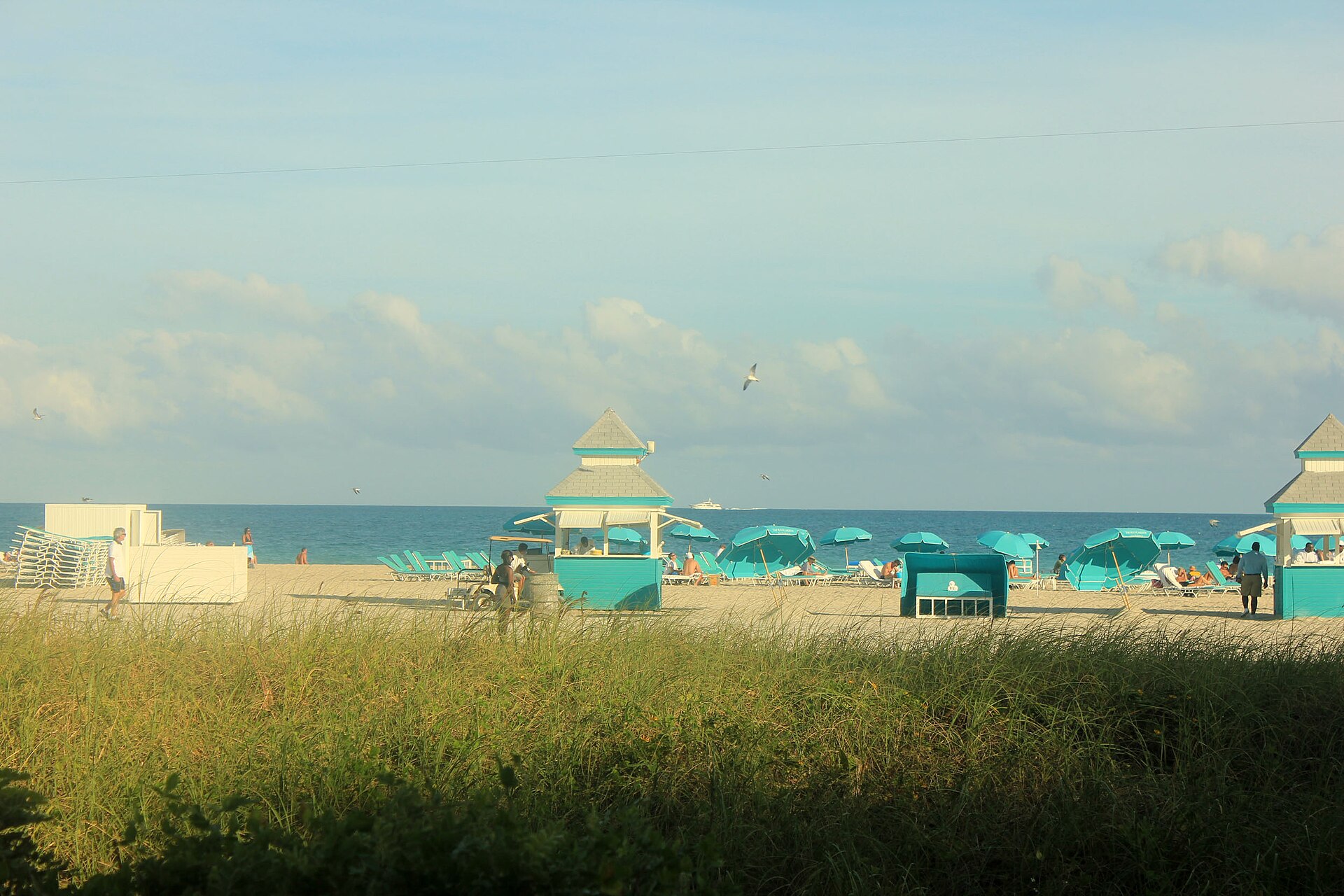 Beach grass borders South Beach in Miami Beach, with turquoise kiosks, matching umbrellas and beachgoers beside the ocean.