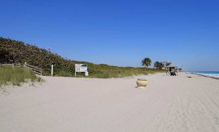 A Dog Beach welcome sign beside sea grape dunes on a wide sandy beach in Hollywood, Florida, with a lifeguard stand and palms beyond