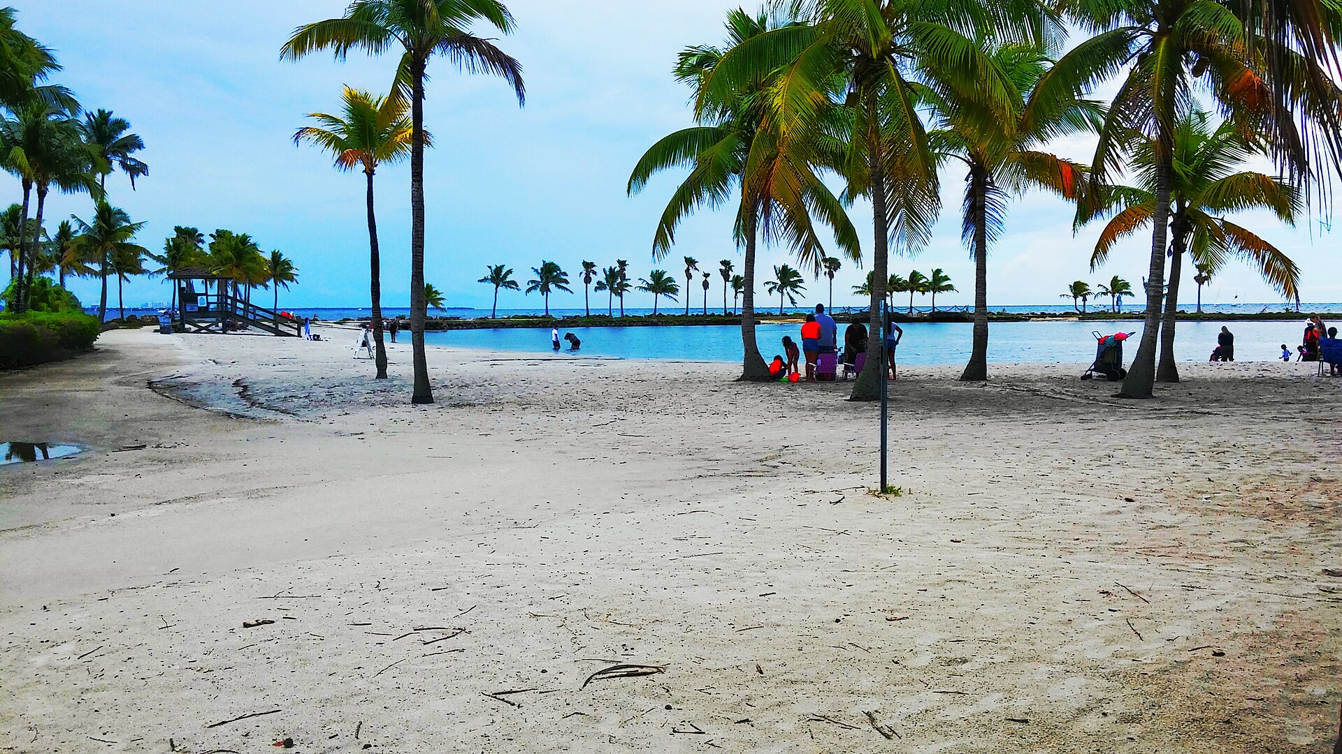 The sandy beach of the atoll pool at Matheson Hammock with coconut palms, families at the water's edge, a wooden lifeguard stand and a ring of palms around the calm lagoon