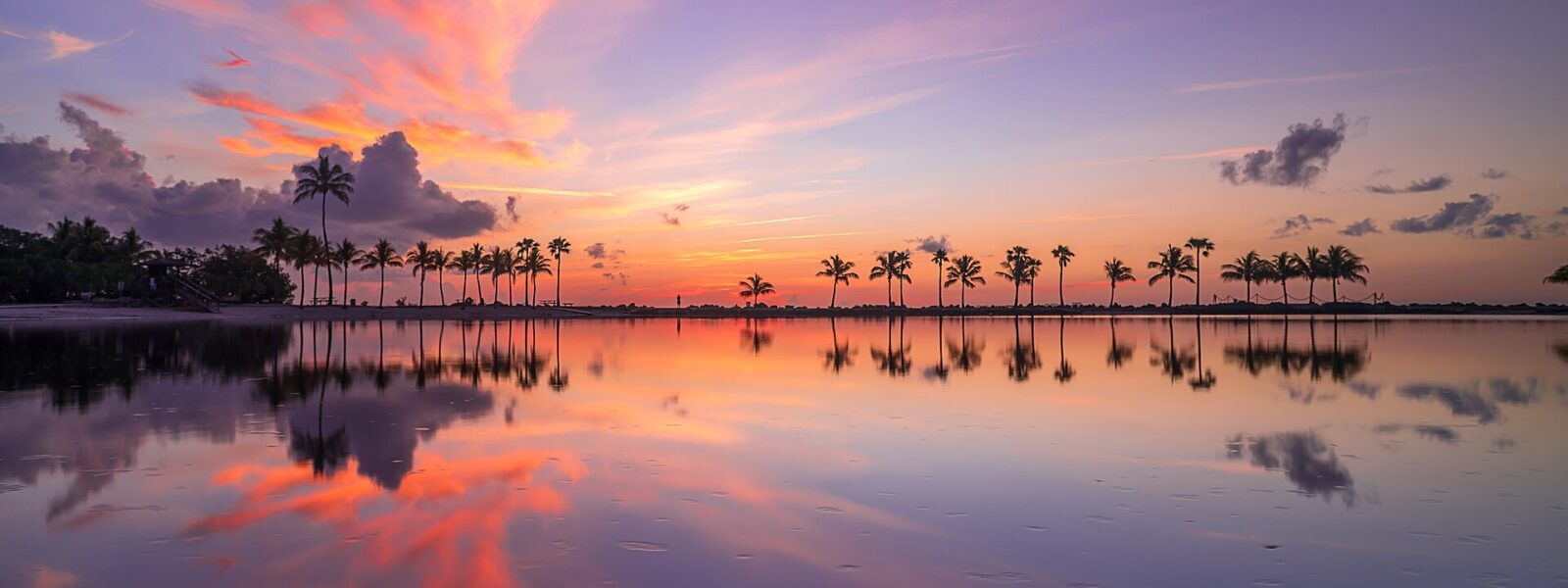 A line of coconut palms silhouetted along the atoll at Matheson Hammock, reflected in perfectly still water under a pink and violet sky