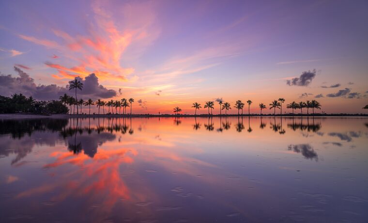 A line of coconut palms silhouetted along the atoll at Matheson Hammock, reflected in perfectly still water under a pink and violet sky