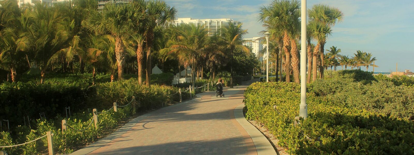The paved Miami Beach Beachwalk curving between sea grape and palm trees, with lampposts, a person pushing a stroller and condo towers behind