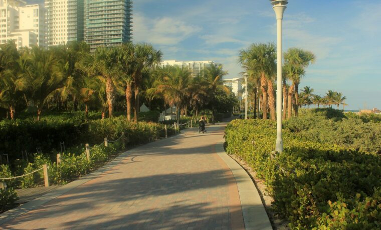 The paved Miami Beach Beachwalk curving between sea grape and palm trees, with lampposts, a person pushing a stroller and condo towers behind