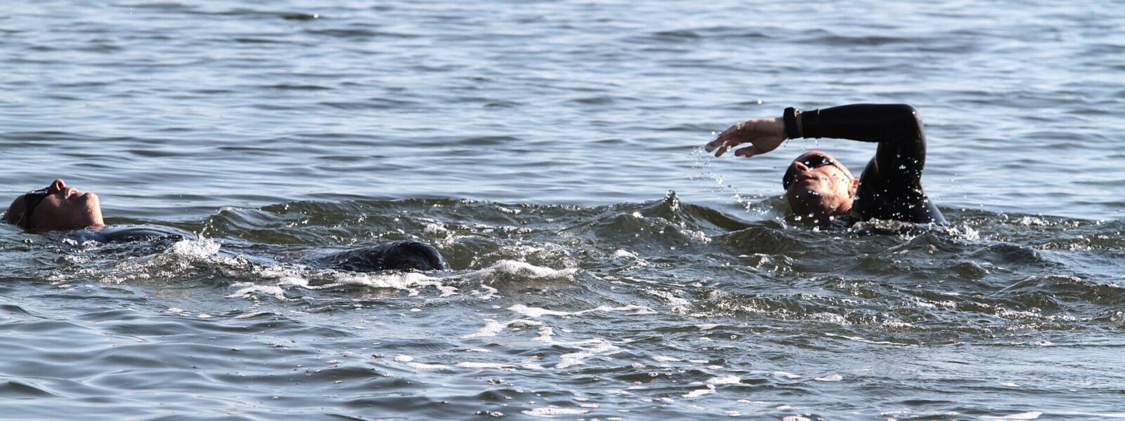 Two open-water swimmers in goggles, one doing freestyle and one floating on his back, in calm sea water